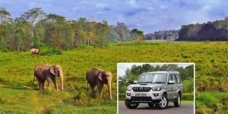 Kathmandu To Chitwan Tour Pick Up And Drop